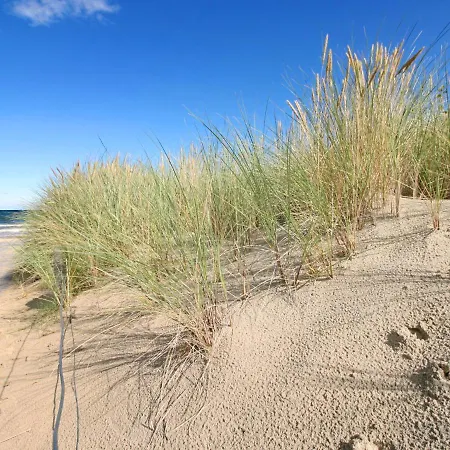 Dueneneck App-17 By Interhome Apartment *