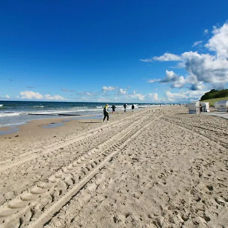 Dueneneck App-17 By Interhome Apartment Zempin